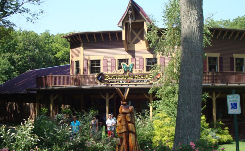 Why I Love Put-in-Bay