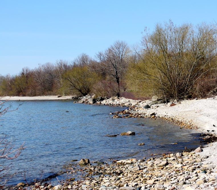 Scheeff East Point Preserve