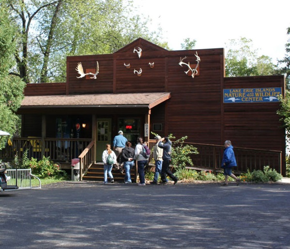 Things To Do Lake Erie Islands Nature & Wildlife Center