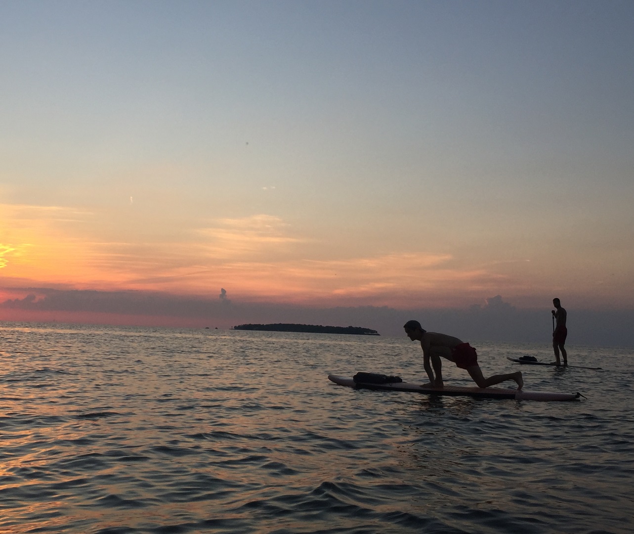 Things To Do Bay Paddleboarding