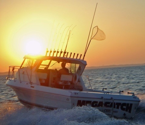 Things To Do Captain Park's Lake Erie Charters
