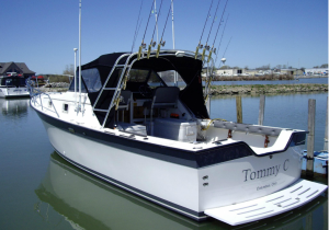 Things To Do Char-Tom Sport Fishing Charters
