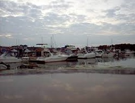 Things To Do DeRivera Park B Dock