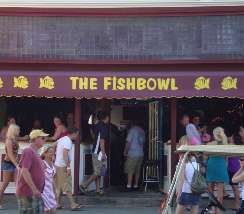 Things To Do The Fish Bowl